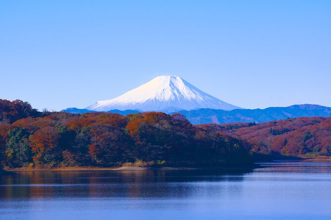 Private Mount Fuji and Hakone Tour With English Guide - Tour Highlights