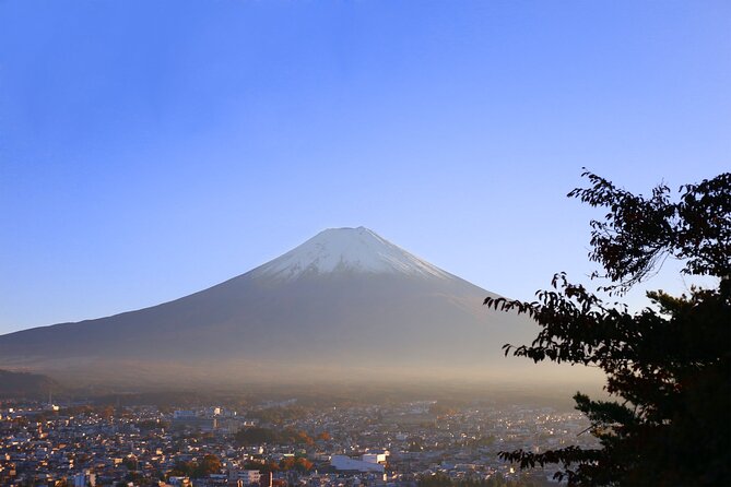 Private Mount Fuji and Hakone Tour With English Guide - Pricing Details