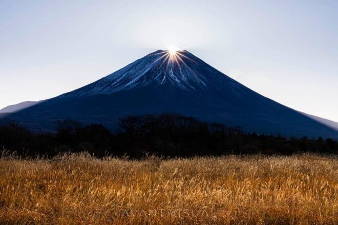 Private Mount Fuji ,Hakone Sightseeing Day Trip With Guide - Booking Details