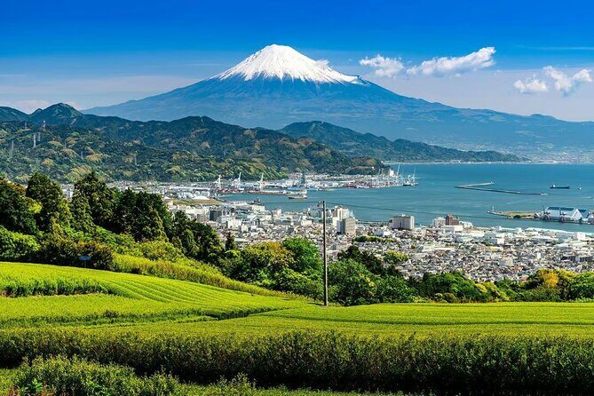 Private Mount Fuji Tour in Luxury Vehicle with English Guide - Cultural Stops and Photo Opportunities