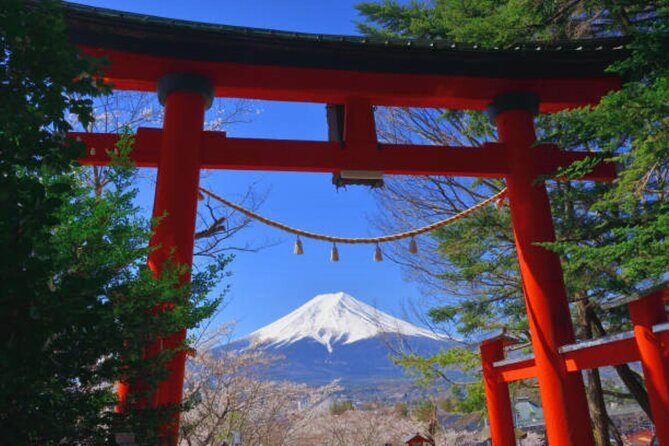 Private Mount Fuji Tour in Luxury Vehicle with English Guide - Is It Worth the Price?