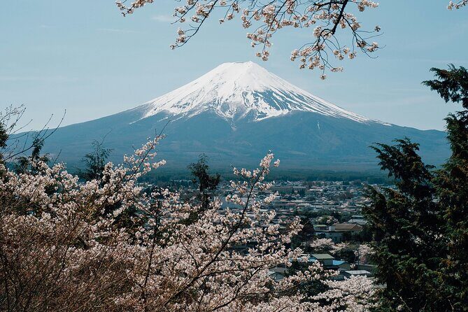 Private Mount Fuji Tour: Scenic Views, Lakes & Local Culture - Good To Know