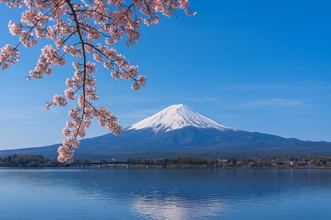 Private Mount Fuji Tour with English Driver from Tokyo - FAQ