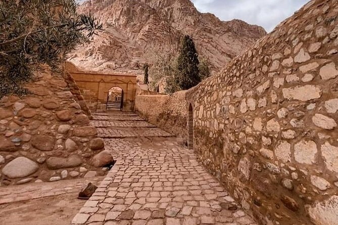 Private Mount Sinai Climb & St Catherine Monastery Day Tour-Sharm - Customer Review