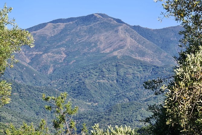 Private Mountain Bike Tour in Sierra Bermeja, Estepona - Miscellaneous Information