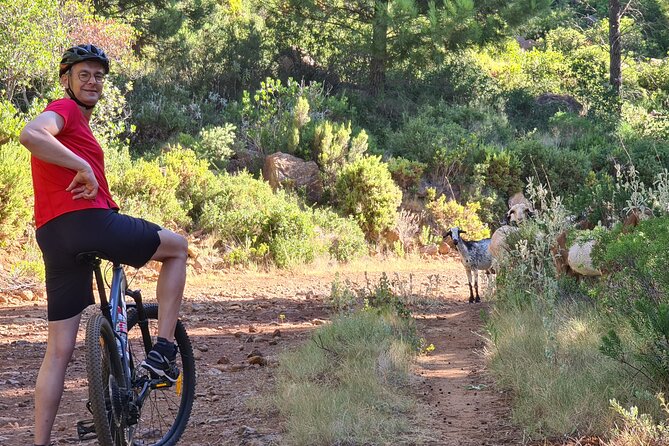 Private Mountain Bike Tour in Sierra Bermeja, Estepona - Directions to Sierra Bermeja, Estepona