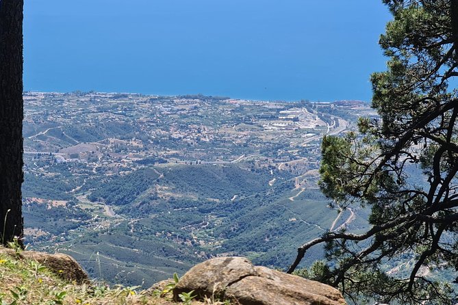 Private Mountain Bike Tour in Sierra Bermeja, Estepona - Tips and Recommendations for the Mountain Bike Tour