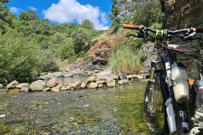 Private Mountain Bike Tour in Sierra Bermeja, Estepona - Common Questions