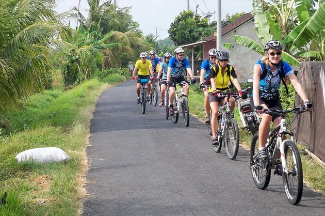 Private Mountain Cycling Adventure in Bali: Kintamani to Ubud - Cycling Route