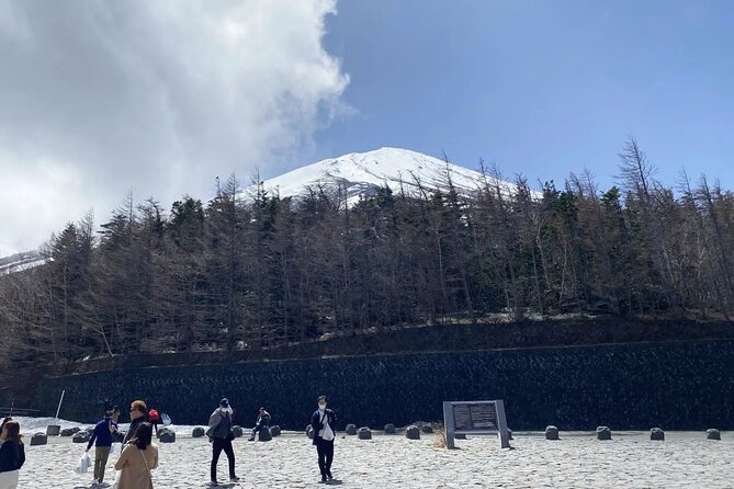 Private Mt Fuji and Hakone Day Tour From Tokyo - Safety Guidelines