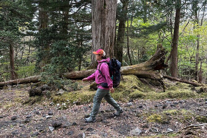 Private Mt Fuji Car and Hiking Experience from Gotemba - Exploring the Private Mt Fuji Car and Hiking Experience from Gotemba