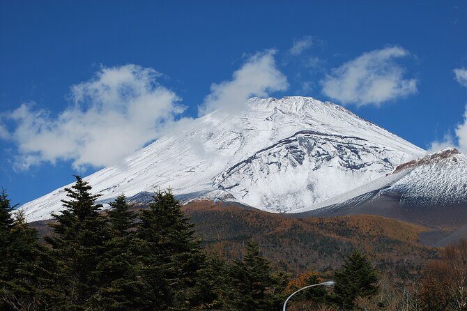 Private Mt Fuji Car and Hiking Experience from Gotemba - Why This Tour Stands Out