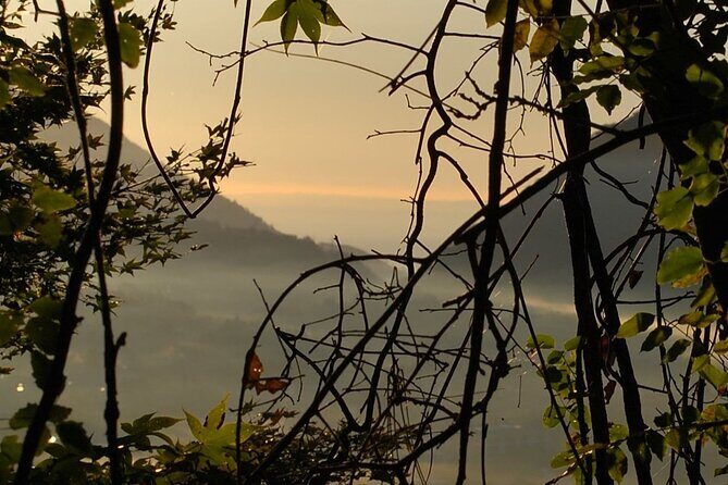 Private Mt Fuji Car and Hiking Experience from Gotemba - Who Will Love This Tour?