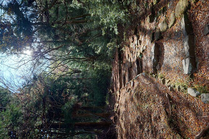 Private Mt Fuji Car and Hiking Experience from Gotemba - FAQs