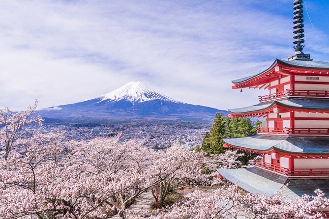 Private Mt. Fuji Custom Tour From Tokyo - Select Date and Travelers