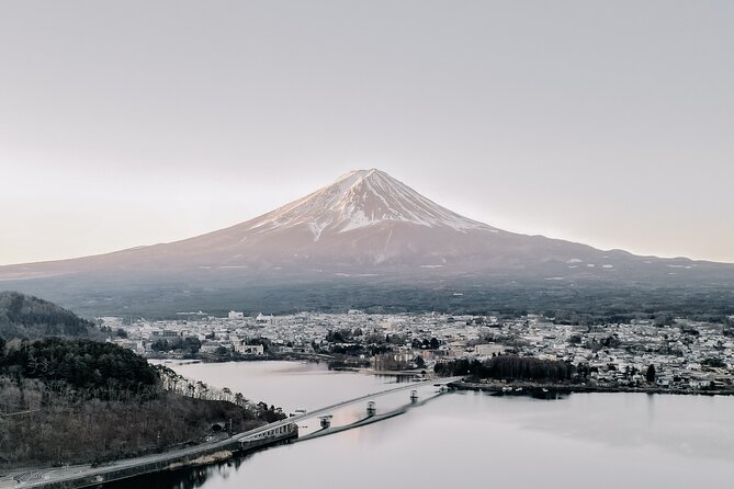 Private Mt Fuji, Hakone and Tokyo Tour With Bilingual Chauffeur - Pickup and Drop-off Details
