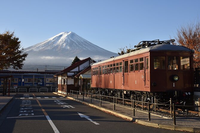 Private Mt Fuji, Hakone and Tokyo Tour With Bilingual Chauffeur - Guide Upon Request