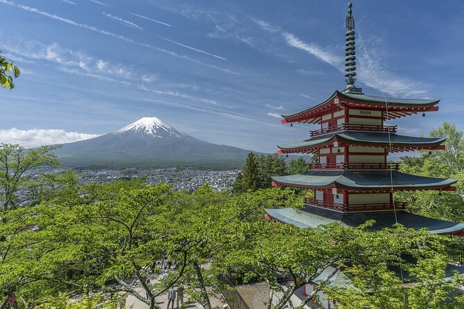 Private Mt Fuji, Hakone and Tokyo Tour With Bilingual Chauffeur - Changes in Schedule or Visiting Points