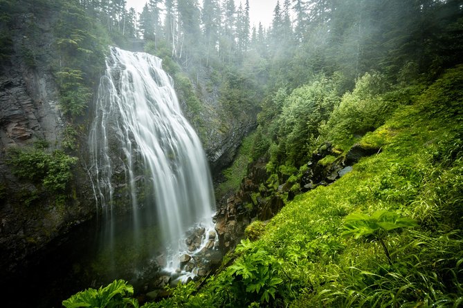 Private Mt Rainier National Park Day Trip From Seattle - Tour Guide Expertise
