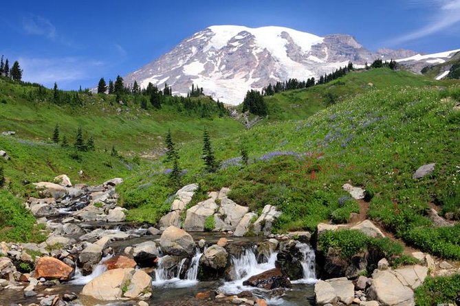 Private Mt Rainier National Park Day Trip From Seattle - What To Expect and Traveler Tips