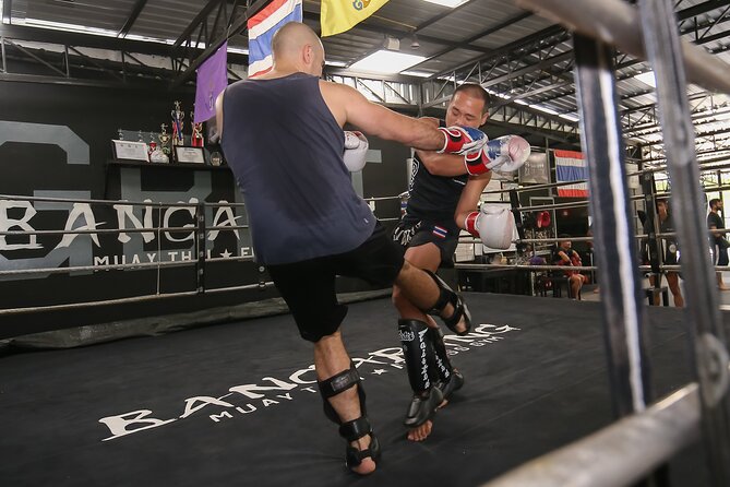 Private Muay Thai Training in Chiang Mai With Pickup - Pricing and Booking Information