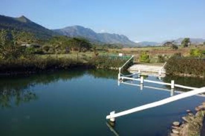 Private Mud Pool and Sleeping Giant Garden Tour - Cancellation Policy and Reviews