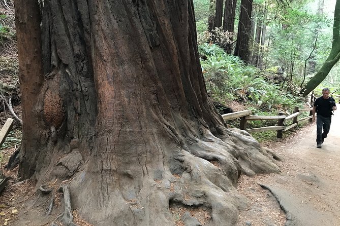 Private Muir Woods and Sausalito Half Day Tour - Tour Details and Booking Information