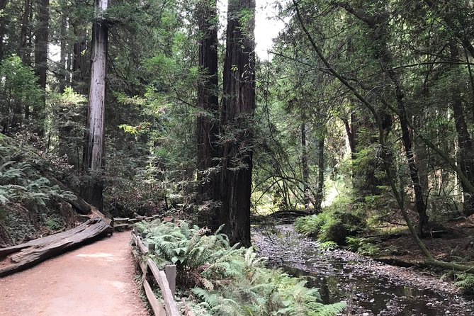 Private Muir Woods and Sausalito Half Day Tour - Duration and Pickup Details