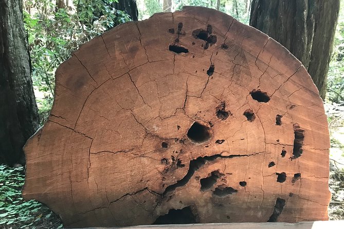 Private Muir Woods and Sausalito Half Day Tour - Child Safety and Accessibility Requirements