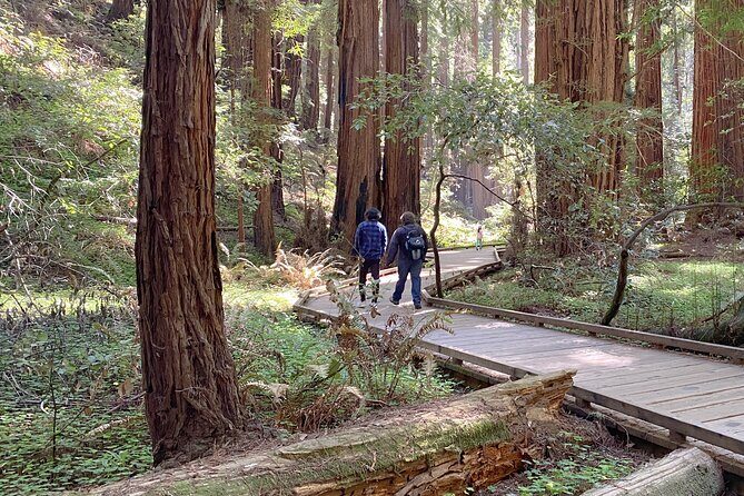 Private Muir Woods Tour Via Luxury Tesla - Final Thoughts