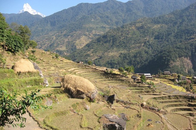 Private Multi Day Nepal Poon Hill Trekking Tour - Inclusive Features