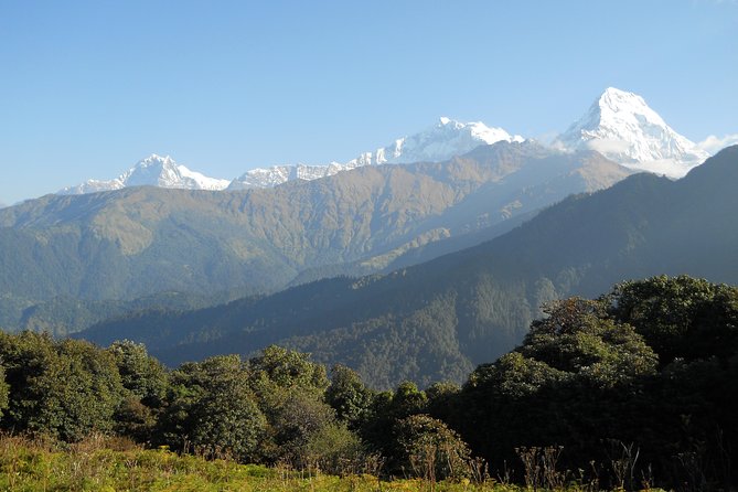 Private Multi Day Nepal Poon Hill Trekking Tour - Pricing and Availability