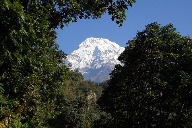 Private Multi Day Nepal Poon Hill Trekking Tour - Common Questions