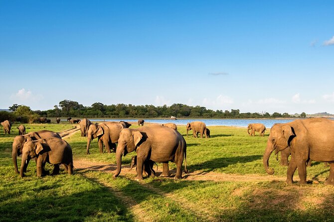 Private Multi-Day Outdoor Tour in Sri Lanka - Tour Duration and Departure Location
