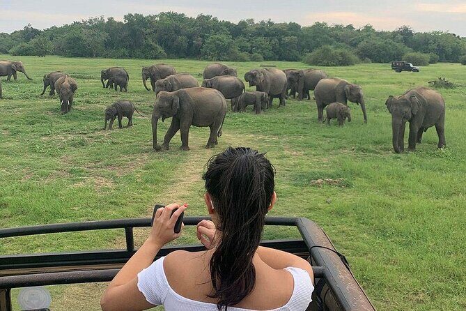 Private Multi Day Sri Lanka Tour with Chauffeur - Who Is This Tour Best For?  