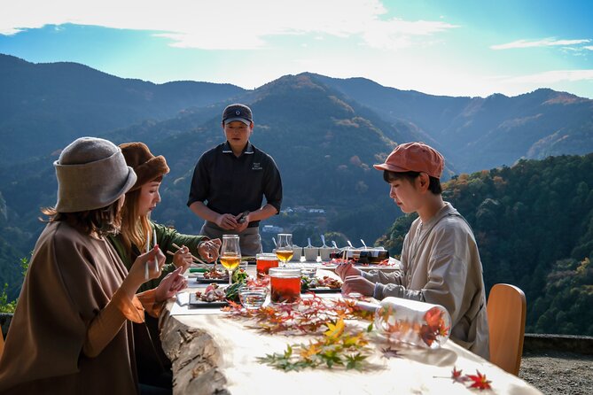 Private Multi Day Tour in Tokushima Miyoshi - Pricing and Additional Charges