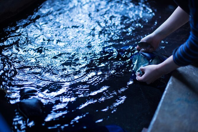 Private Multi Day Tour in Tokushima Miyoshi - The Sum Up