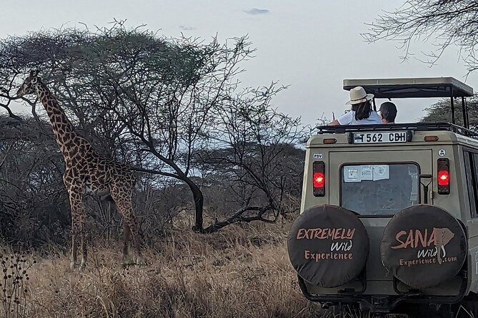 Private Multi Day Tour Tanzania Safari - National Park Fees and Taxes