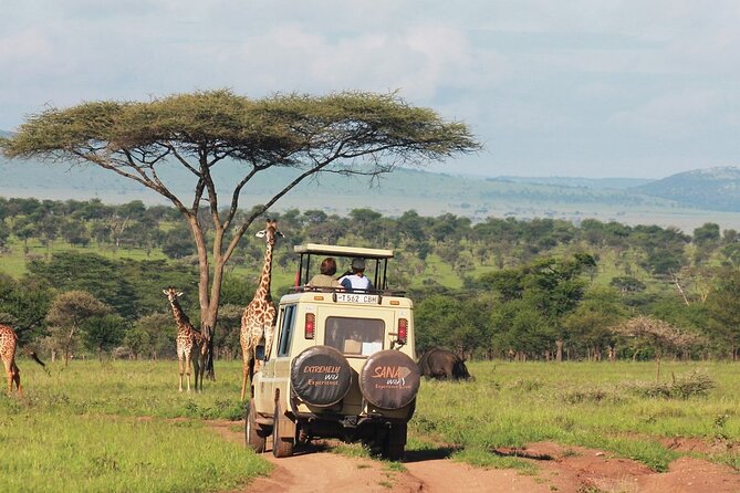 Private Multi Day Tour Tanzania Safari - Accessibility and Health Considerations