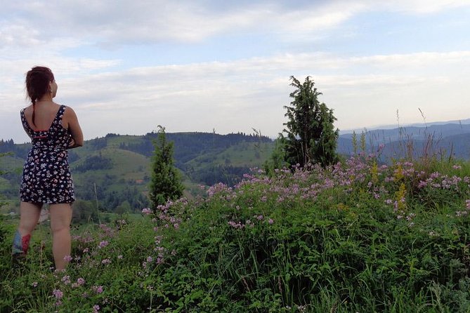 Private Multi-day Tour to Zlatibor Mountain and Sargan Eight Train - Pickup Information