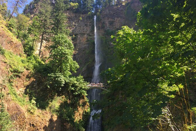 Private Multnomah Falls and Mt. Hood Tour with Gorge Waterfalls - Good To Know