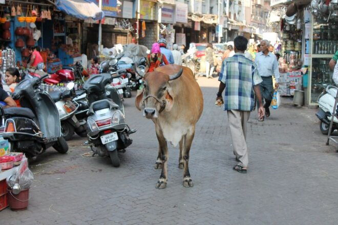 Private Mumbai by Dawn Morning Tour With Guide & Ac Car - Booking Information