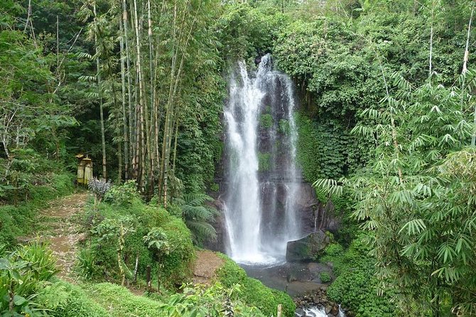 Private Munduk Waterfalls Trekking Tour - Tour Highlights