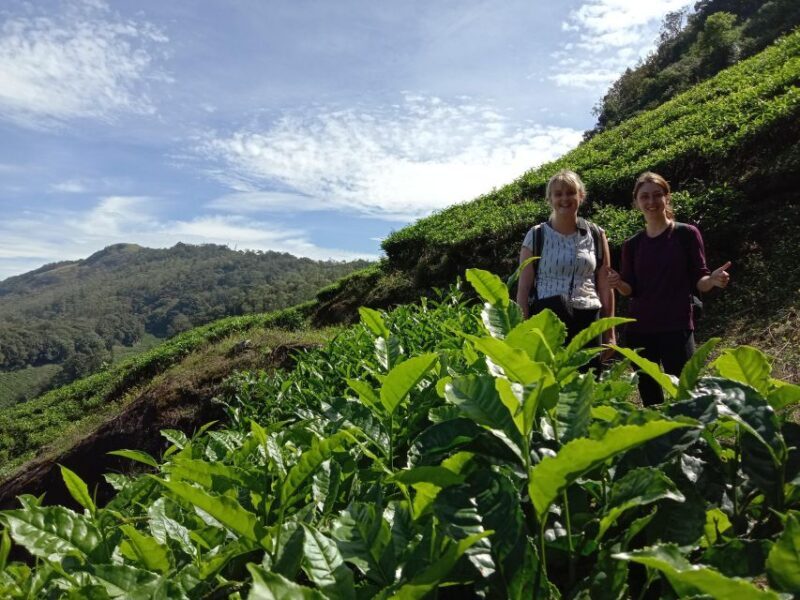 Private Munnar Tea Trek - Good To Know
