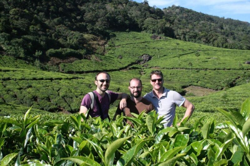 Private Munnar Tea Trek - A Deep Dive into the Munnar Tea Trek Experience