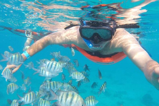 Private MUSA Snorkeling Experience Isla Mujeres and Cancun - What To Expect