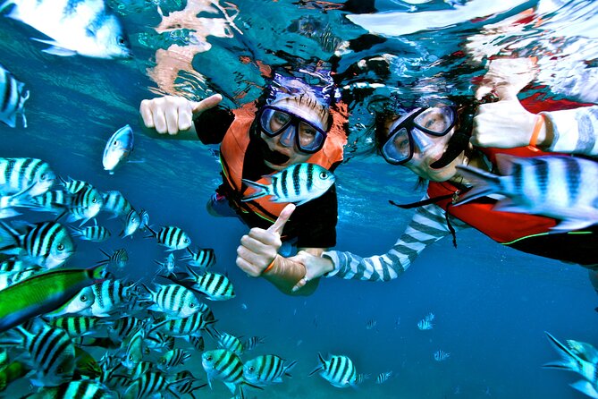 Private MUSA Snorkeling Experience Isla Mujeres and Cancun - The Sum Up