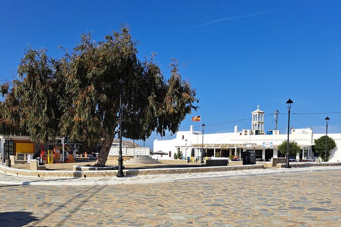 Private Mykonos Island Sightseeing Tour. - Common Questions
