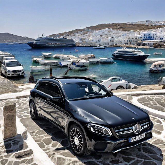Private Mykonos Tour for Cruise Pax (Cruise Terminal Pickup) - Important Information