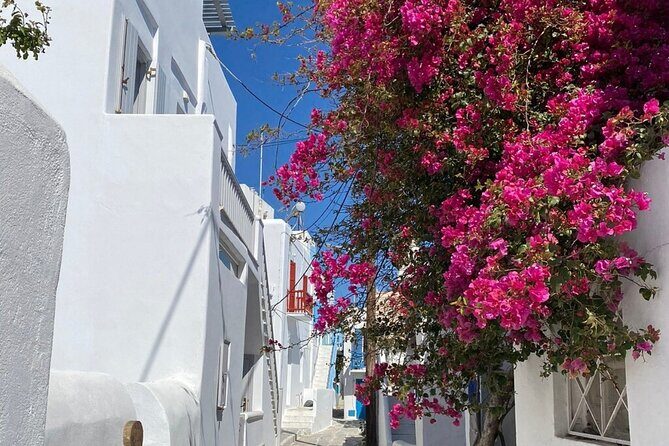 Private Mykonos Town Walking Tour And Islands Highlights - Good To Know